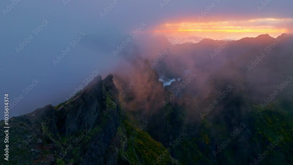Mountains on sunset covered in fog and clouds with blooming Cytisus shrubs. Near Pico de Arieiro , Madeira island, Portugal. Slide trucking shot
