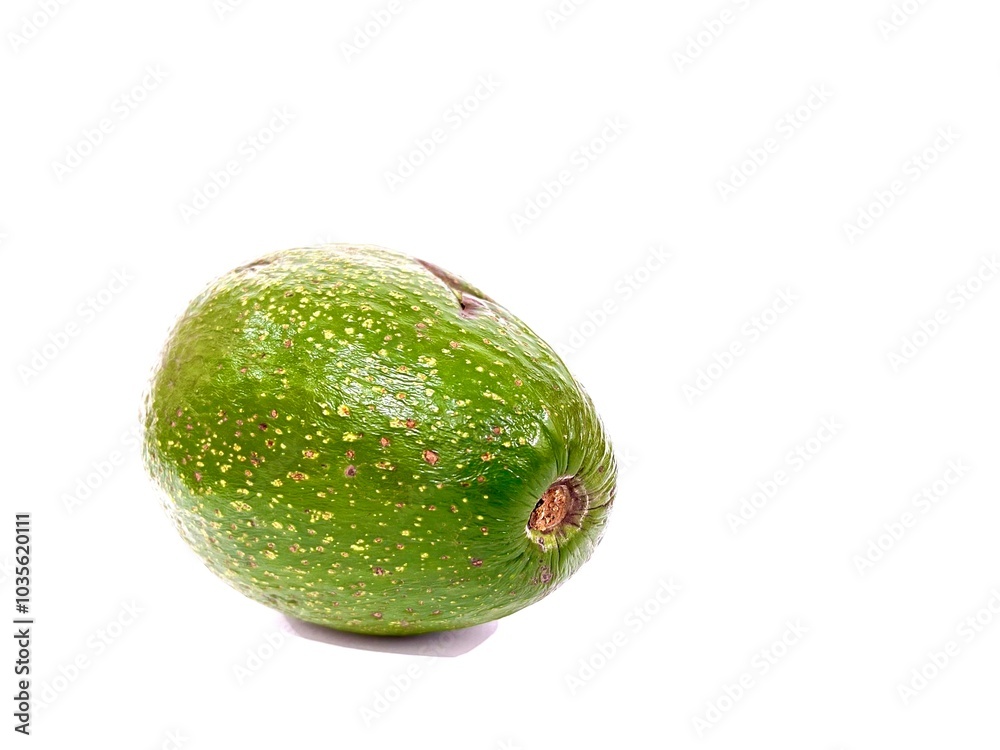 A single unpeeled whole organic fresh and ripe green avocado fruit isolated on white background A single unpeeled whole organic fresh and ripe green avocado fruit isolated on white background