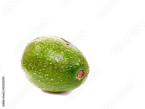 A single unpeeled whole organic fresh and ripe green avocado fruit isolated on white background