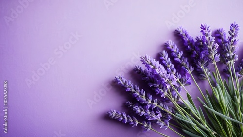 The lavender pastel purple aesthetic background brings a soothing and serene feel, perfect for any space needing a soft, cute lavender background with a minimal yet beautiful appeal