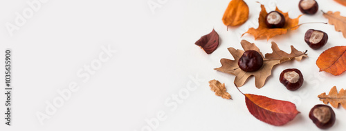 Autumn holiday frame composition with dry leafs and chestnuts on white backround. Creative layout pattern, Thanksgiving day flat lay, Halloween. Eco zero waste concept. Top view, place for text banner