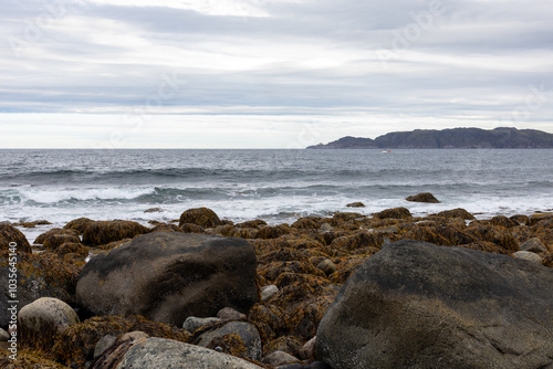 Barents sea