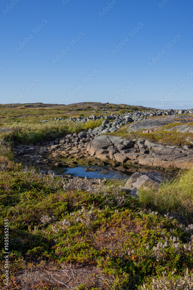 Small puddle between rocks