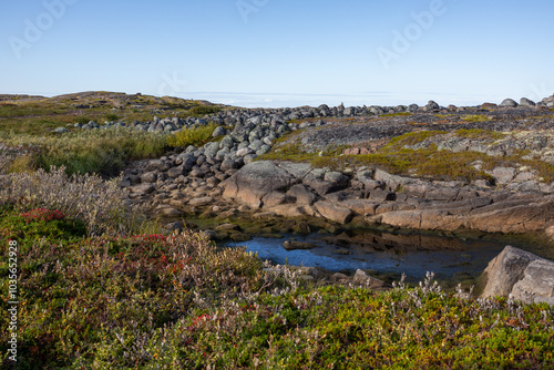 Small puddle between rocks