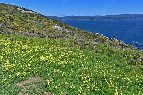 Capo di Finisterre e fine del Cammino di Santiago di Compostela, provincia di coruña, galizia, spagna,  photo