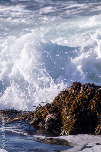Power of the sea