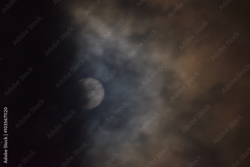 selective focus picture of moon in the forest selective focus picture of moon in the forest