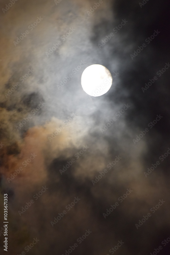 selective focus picture of moon in the forest selective focus picture of moon in the forest
