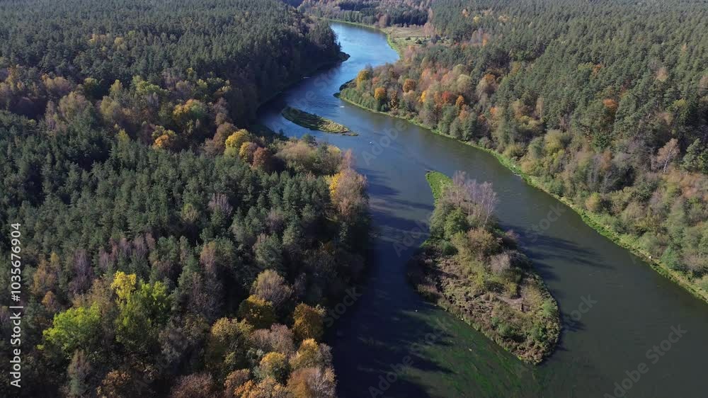 Autumn in the forest, river in the forest, drone flies over the river in the autumn forest Autumn in the forest, river in the forest, drone flies over the river in the autumn forest