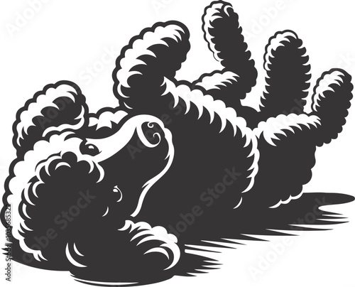 poodle dog in different poses, clipart, and vector silhouette designs.