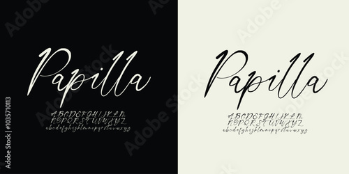 Vector elegant alphabet letters font classic modern serif lettering minimal fashion