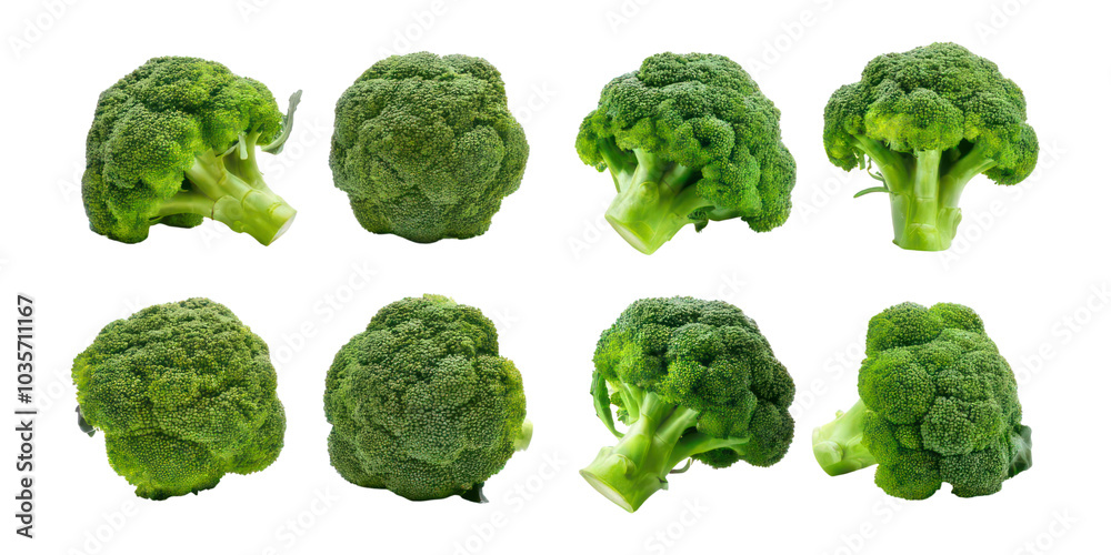 Fresh Broccoli Heads,PNG set collection, isolated on transparent background Fresh Broccoli Heads,PNG set collection, isolated on transparent background