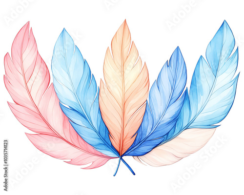 Colorful feathers on isolated white background.