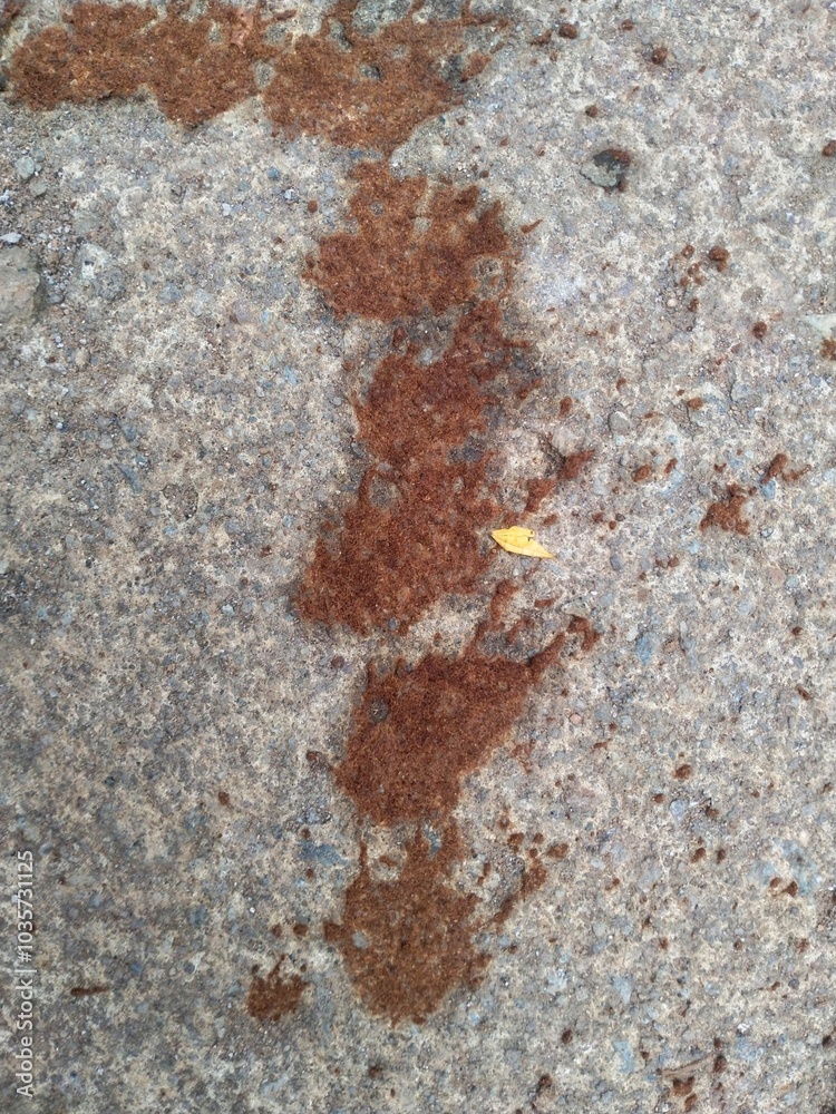 The spillage of black coffee grounds that begin to dry out looks very unique and interesting The spillage of black coffee grounds that begin to dry out looks very unique and interesting