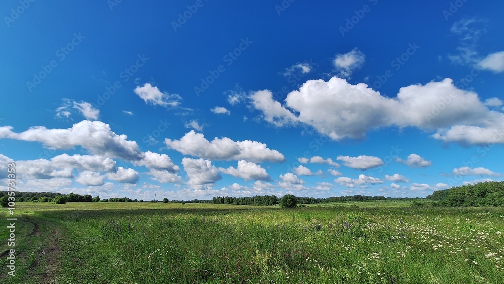 Naklejka premium Vibrant summer landscape with blue sky and fluffy clouds in a green meadow
