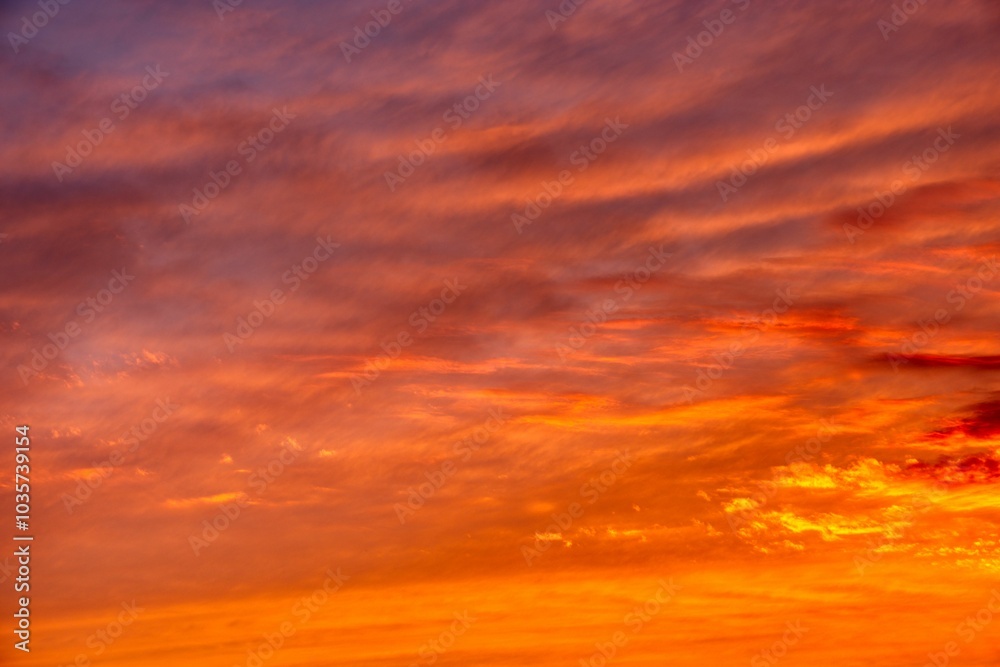 Fototapeta premium red sky at sunset