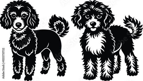 poodle dog in different poses, clipart, and vector silhouette designs.