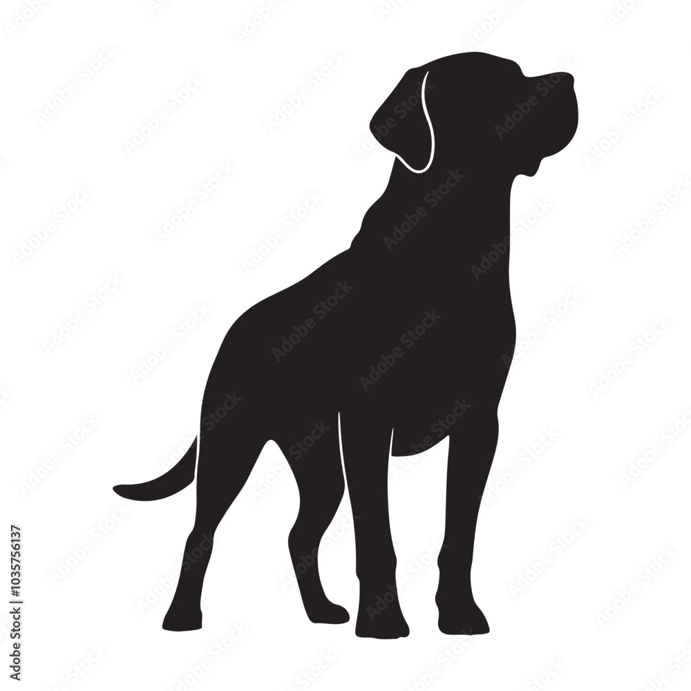 Standing pose Labrador Dog Silhouette, Bold Black Canine Design for Pet Themed Projects. Standing pose Labrador Dog Silhouette, Bold Black Canine Design for Pet Themed Projects.