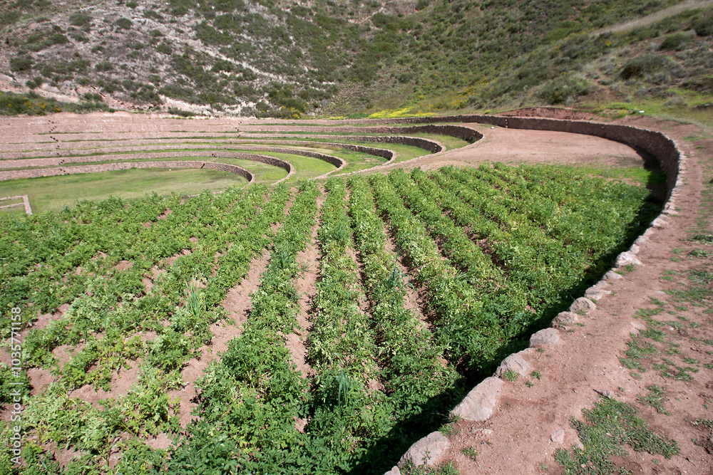 The Moray Andenes are a fascinating set of ancient Incan agricultural terraces located in the Sacred Valley of Peru, near the town of Maras. These terraces are renowned for their unique design The Moray Andenes are a fascinating set of ancient Incan agricultural terraces located in the Sacred Valley of Peru, near the town of Maras. These terraces are renowned for their unique design