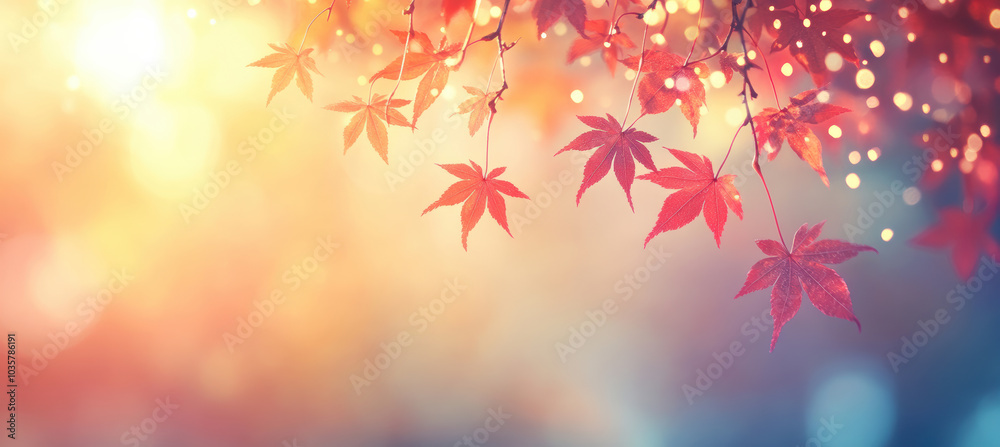 Red maple leaves in autumn sunlight Red maple leaves in autumn sunlight