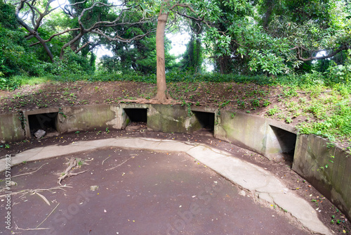 神奈川県横須賀市　猿島 photo