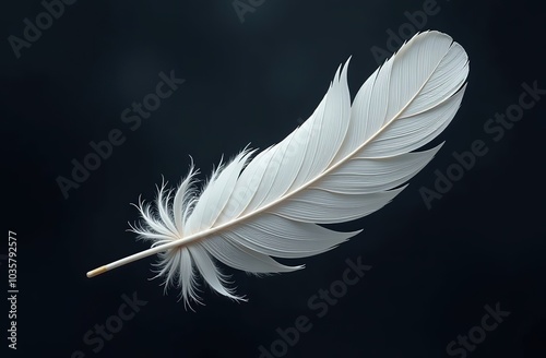 Abstract white feathers flying in the air. on dark background 