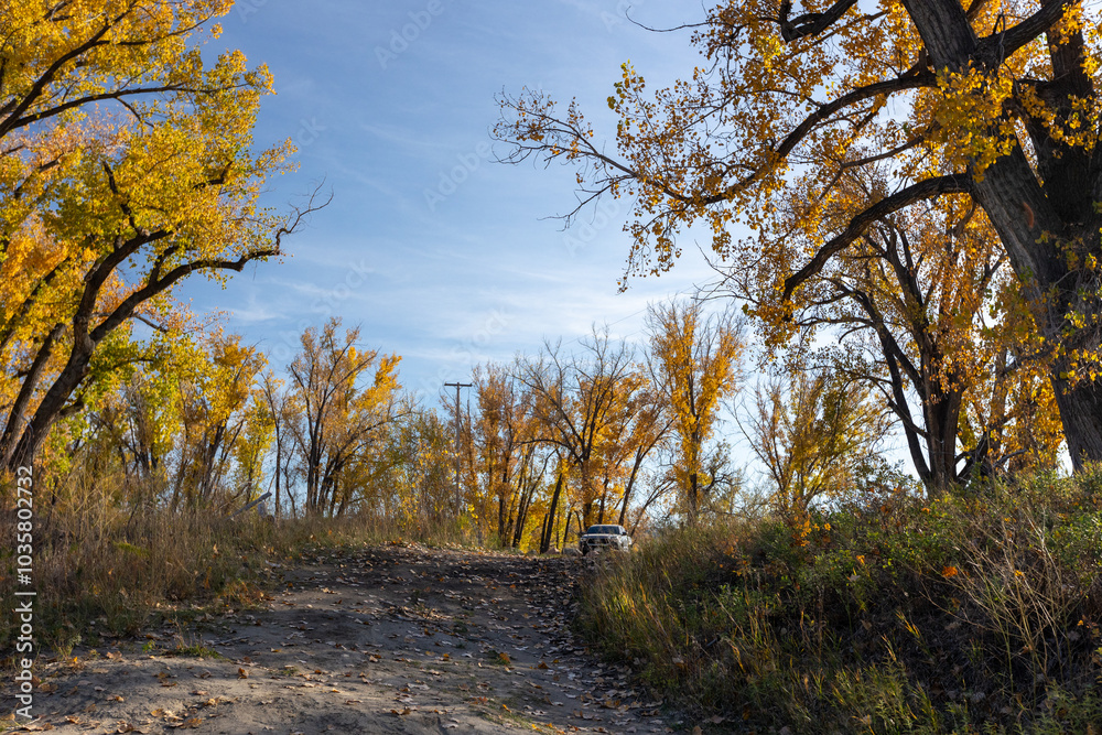 Fototapeta premium Hiking through the colorful trails of Central Montana during October, surrounded by vibrant fall foliage and the crisp beauty of the autumn season.