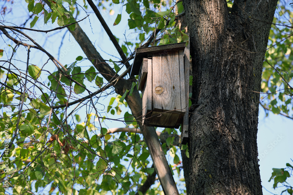 A bird house fixed high on a tree trunk A bird house fixed high on a tree trunk