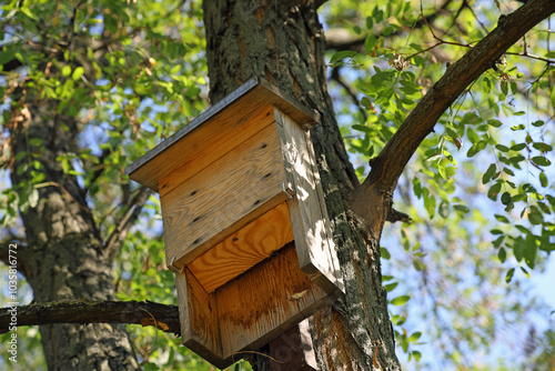 A bat house was attached high on a tree trunk
