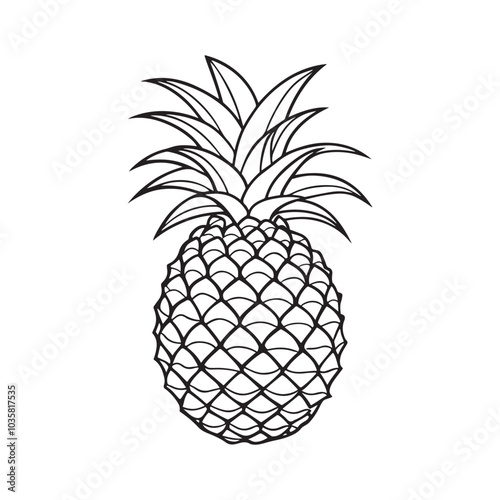 Vector silhouette image of a Pineapple on a white background