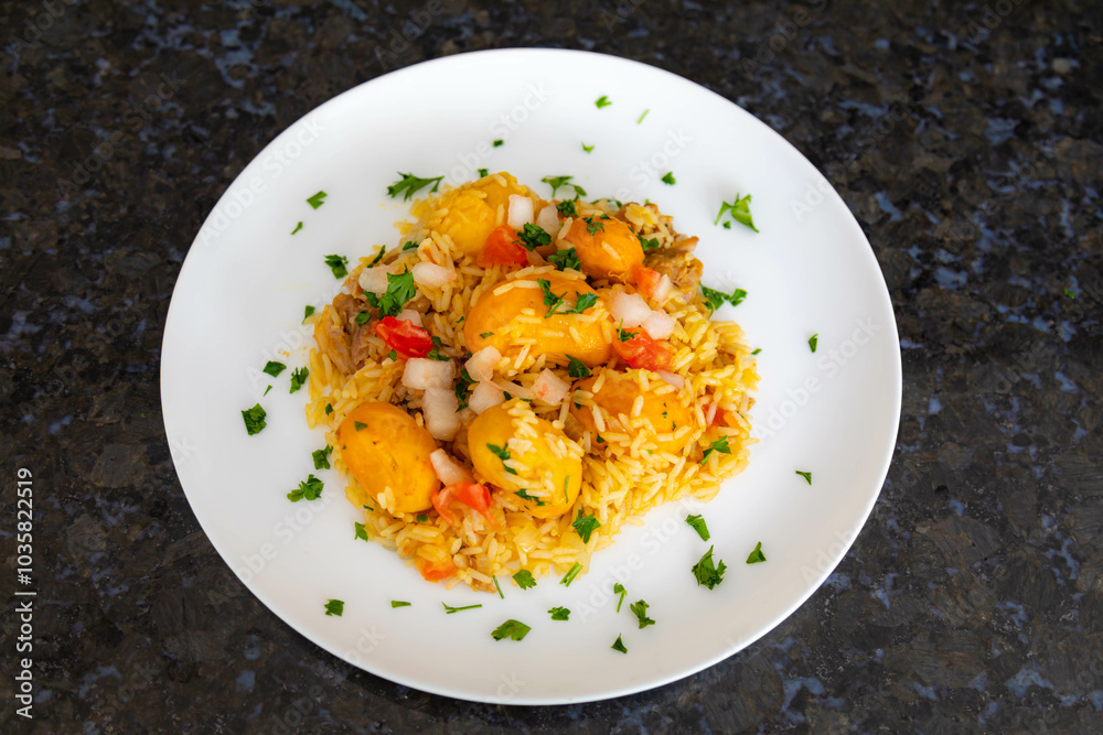 Traditional Brazilian dish rice, chicken and pequi (caryocar brasileinse) known as galinhada goiana Traditional Brazilian dish rice, chicken and pequi (caryocar brasileinse) known as galinhada goiana
