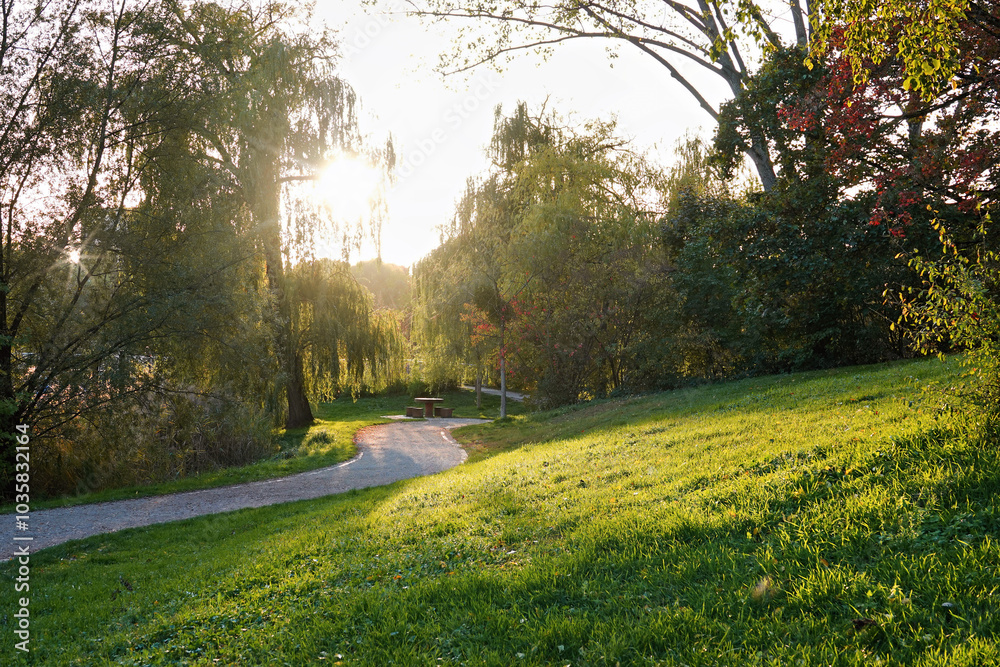 Obraz premium hiking trail through an autumnal recreation area at sunset