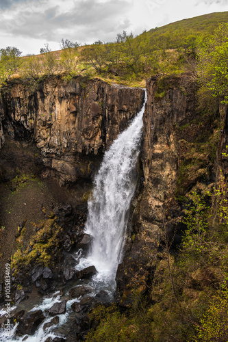 views of Skafatell National Park and Svartifoss waterfall, Iceland