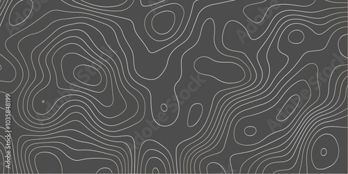 Exploring the Intricate Intersections of Topology and Topography Through Innovative Vector-Based Techniques in Modern Wallpaper Design A Comprehensive Study

