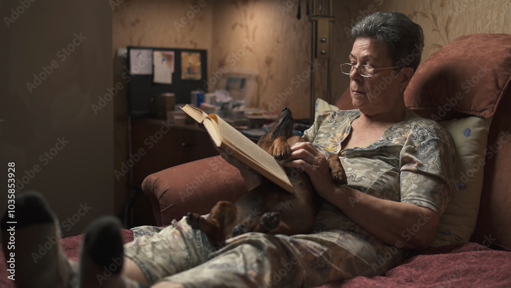 Elderly woman sitting on sofa and reading book, holding dachshund in her arms. Elderly woman sitting on sofa and reading book, holding dachshund in her arms.