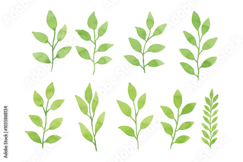 Assortment of watercolor leaves illustration set - green leaf branches collection for wedding, greetings, stationary, wallpapers, fashion, background. olive, green leaves, Eucalyptus etc