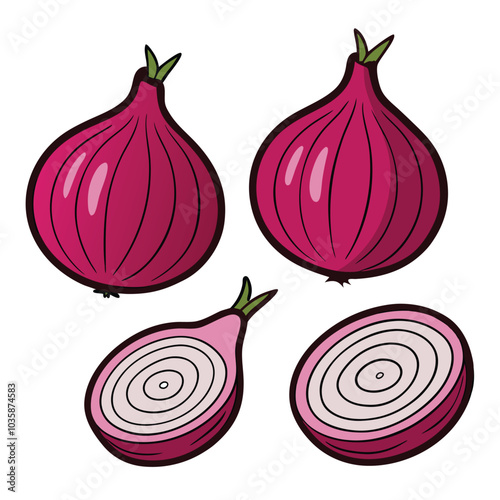 Red onions isolated on white background. Whole purple onion bulb and half. Vector vegetables illustration in flat style