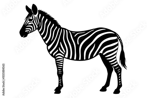 Zebra Silhouette | isolated vector silhouette illustration on white background