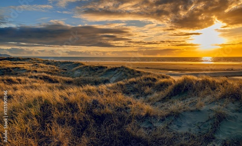 Fototapeta Naklejka Na Ścianę i Meble -  sunset over grassy dunes in the foreground of Otaki Beach on the Kapiti Coast of New Zealand