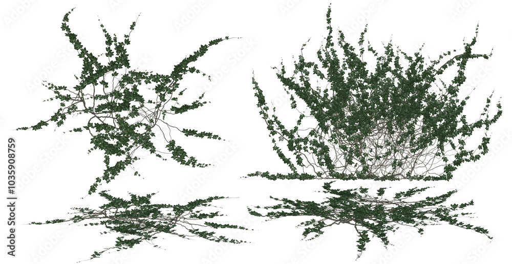 Fototapeta premium 3D render of wall and ground ivy illustration