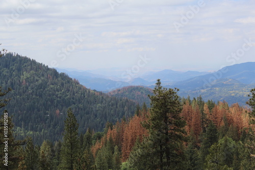 Landscape in the mountains
