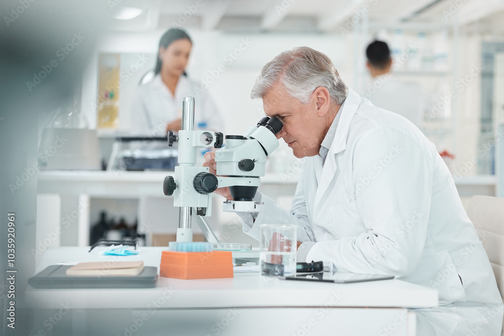 Scientist, mature man and microscope in lab for disease experiment, medical study and dna process. Researcher, biotechnology and molecule exam of engineering, vaccine research and healthcare solution Scientist, mature man and microscope in lab for disease experiment, medical study and dna process. Researcher, biotechnology and molecule exam of engineering, vaccine research and healthcare solution