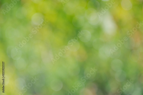 Natural defocus light background of green and yellow color. Natural bokeh.