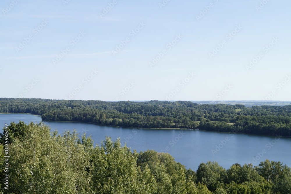 lake in the forest lake in the forest