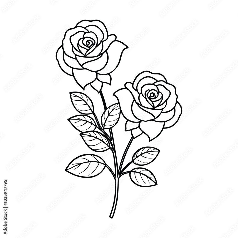 Roses Outline on White Background Roses Outline on White Background