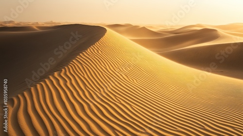 Golden Sand Dunes photo