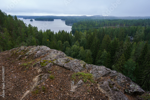 View of a serene lake surrounded by dense forest in Finland photo