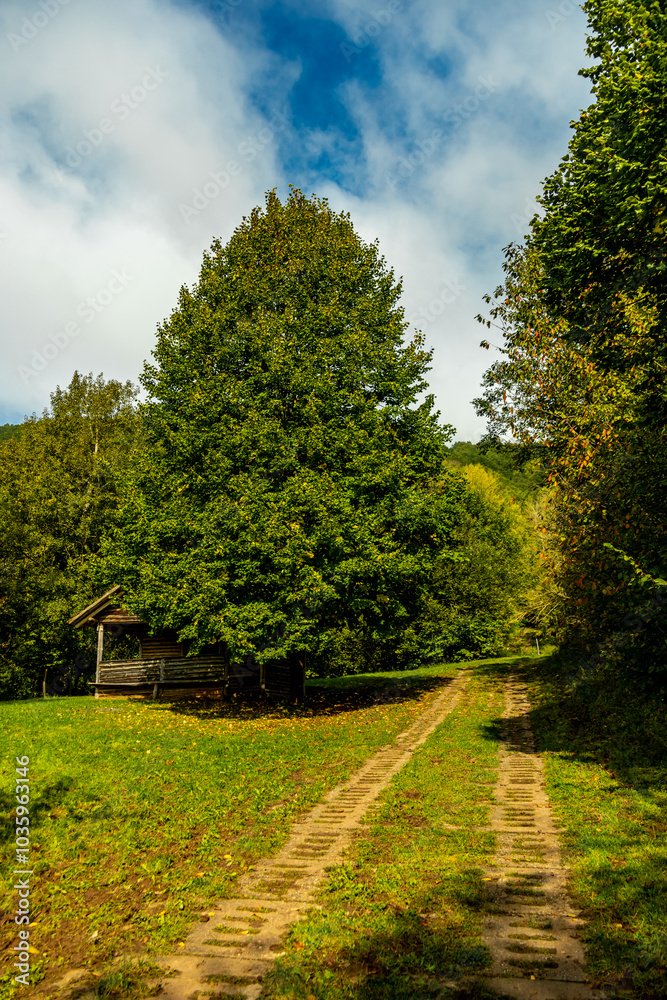 Naklejka premium Unterwegs an der Landesgrenze zwischen Hessen und Thüringen im wunderschönen Eichsfeld zur Burg Hanstein bei Bornhagen - Thüringen - Deutschland