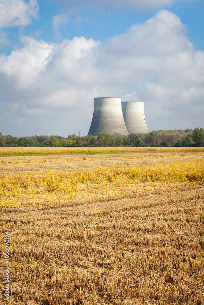 View of the coolin towers of the Trino 2 nuclear power plant (Trino Vercellese, Piedmont, Northern Italy), with ready to harvest paddy fields in the foreground. This power plant was put out of service View of the coolin towers of the Trino 2 nuclear power plant (Trino Vercellese, Piedmont, Northern Italy), with ready to harvest paddy fields in the foreground. This power plant was put out of service