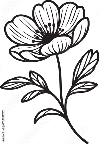 This is an illustration of flowers in a simple and modern line art style.